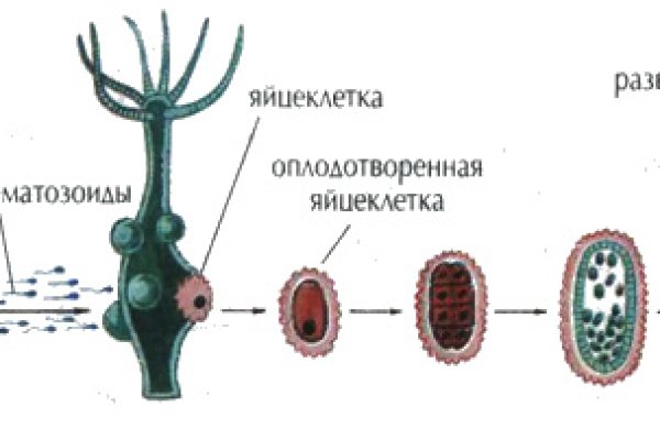 Кракен адрес тор