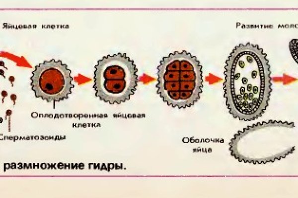 Как восстановить пароль кракен