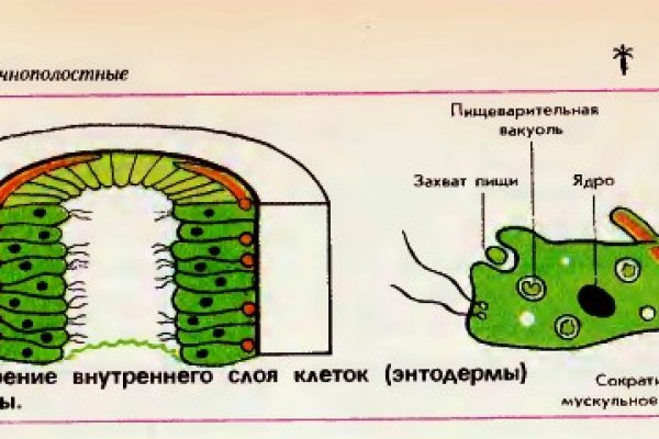 Кракен маркет что это