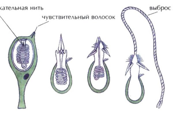 Kraken зеркало стор